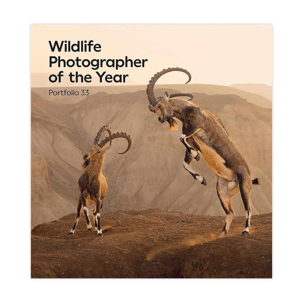Wildlife Photographer of the Year Portfolio 33