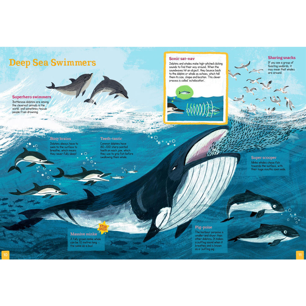 Book pages with an illustration of ocean wildlife. A whale eats fish surrounded by dolphins and porpoise.