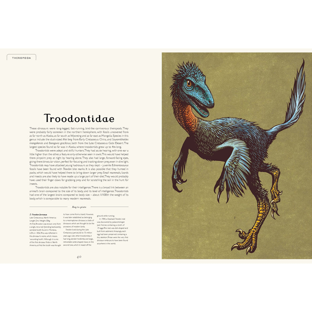Book pages with information and an illustration of a troodontidae.