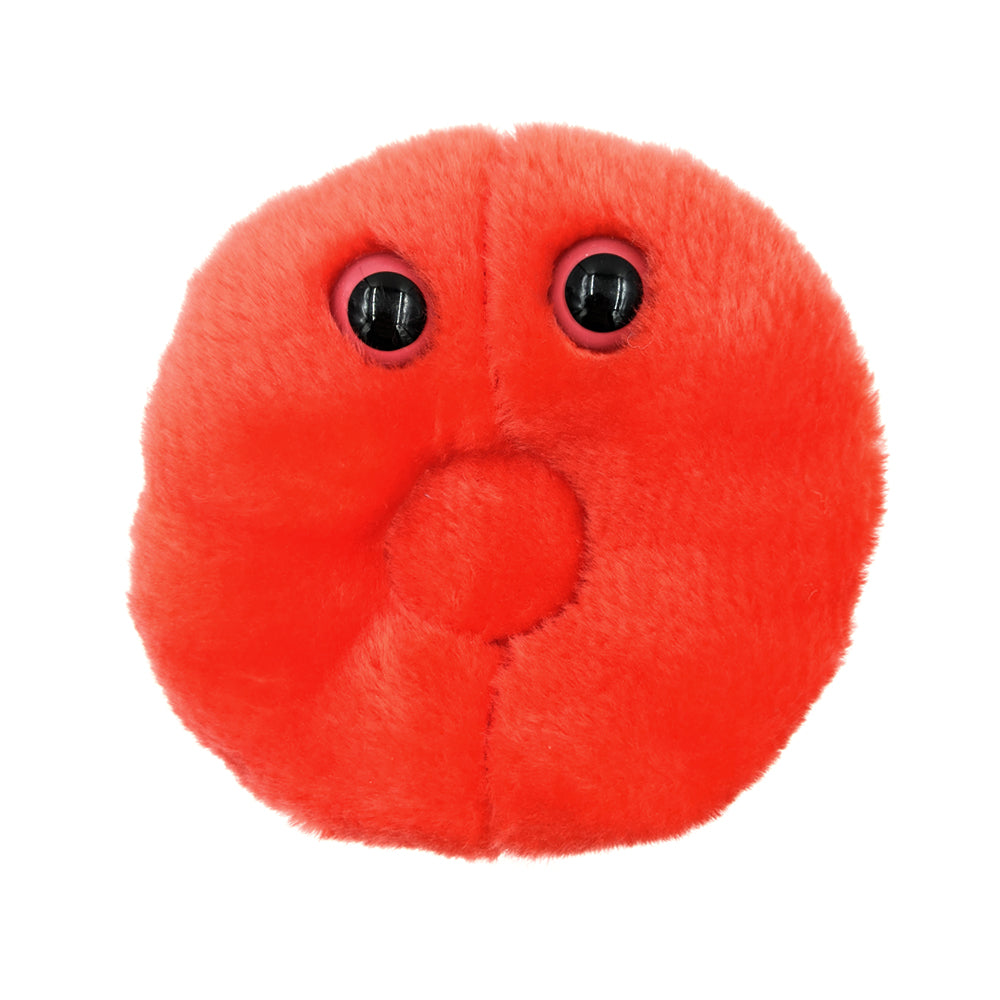 Giant Red Blood Cell