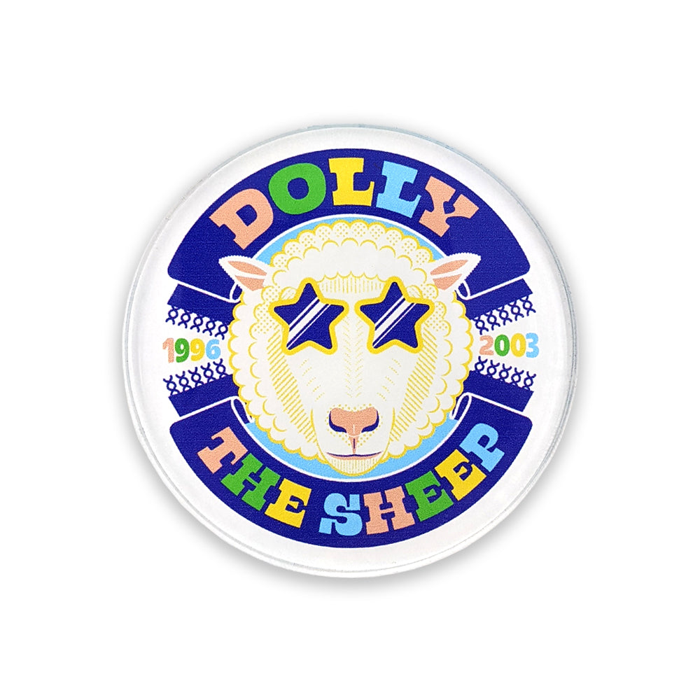 A round acrylic magnet with a colourful illustration of Dolly the sheep against a plain white background.