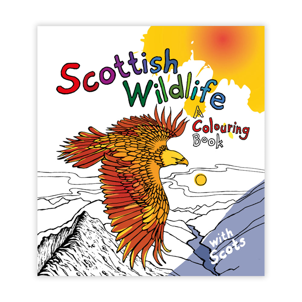 Book cover with an illustration of a hawk flying above a Scottish landscape.