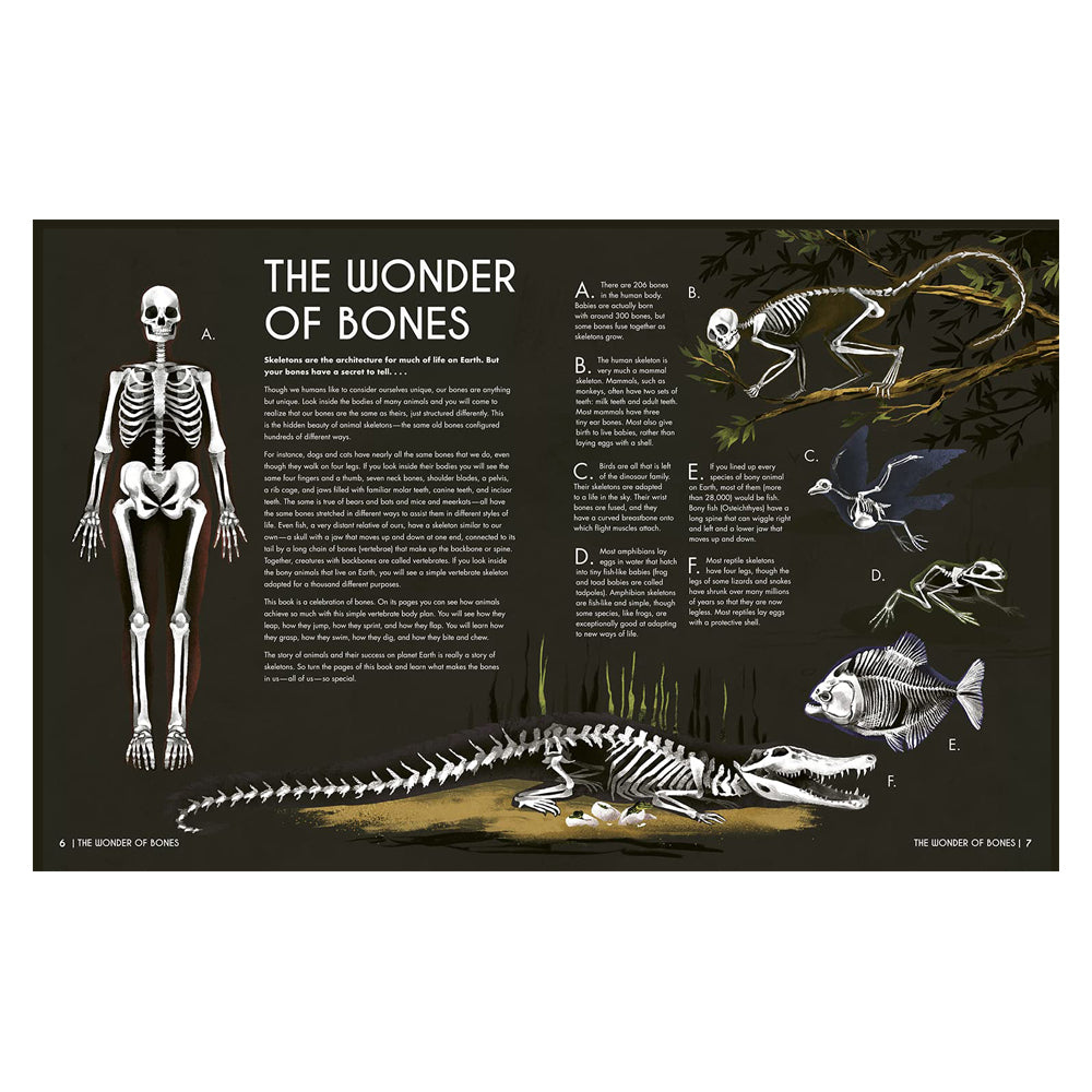 a double page spread with illustrations of various species' skeletons with supporting text against a black background.
