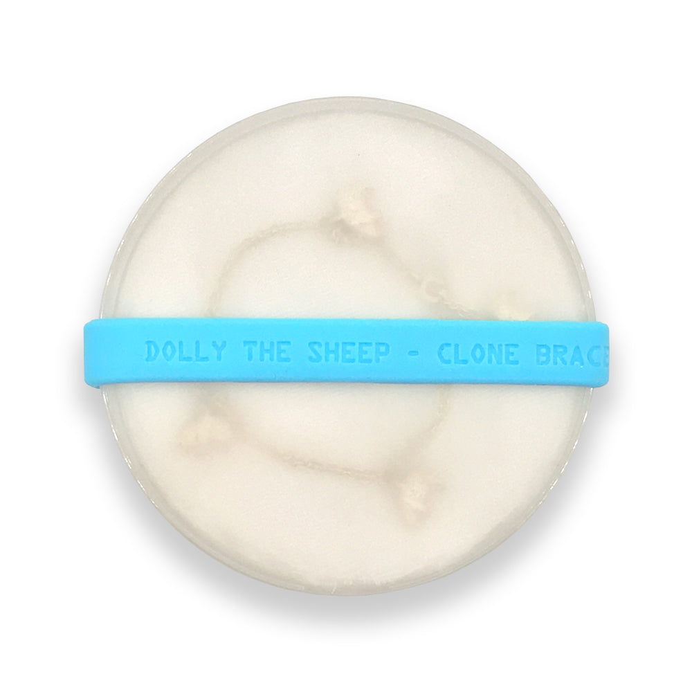 A bracelet with sheep charms in a round frosted Petri dish with a blue elastic band embossed with the words "Dolly the Sheep"