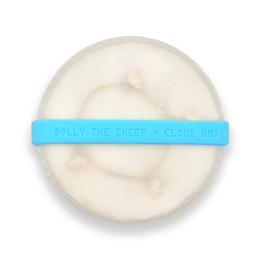 A bracelet with sheep charms in a round frosted Petri dish with a blue elastic band embossed with the words "Dolly the Sheep"