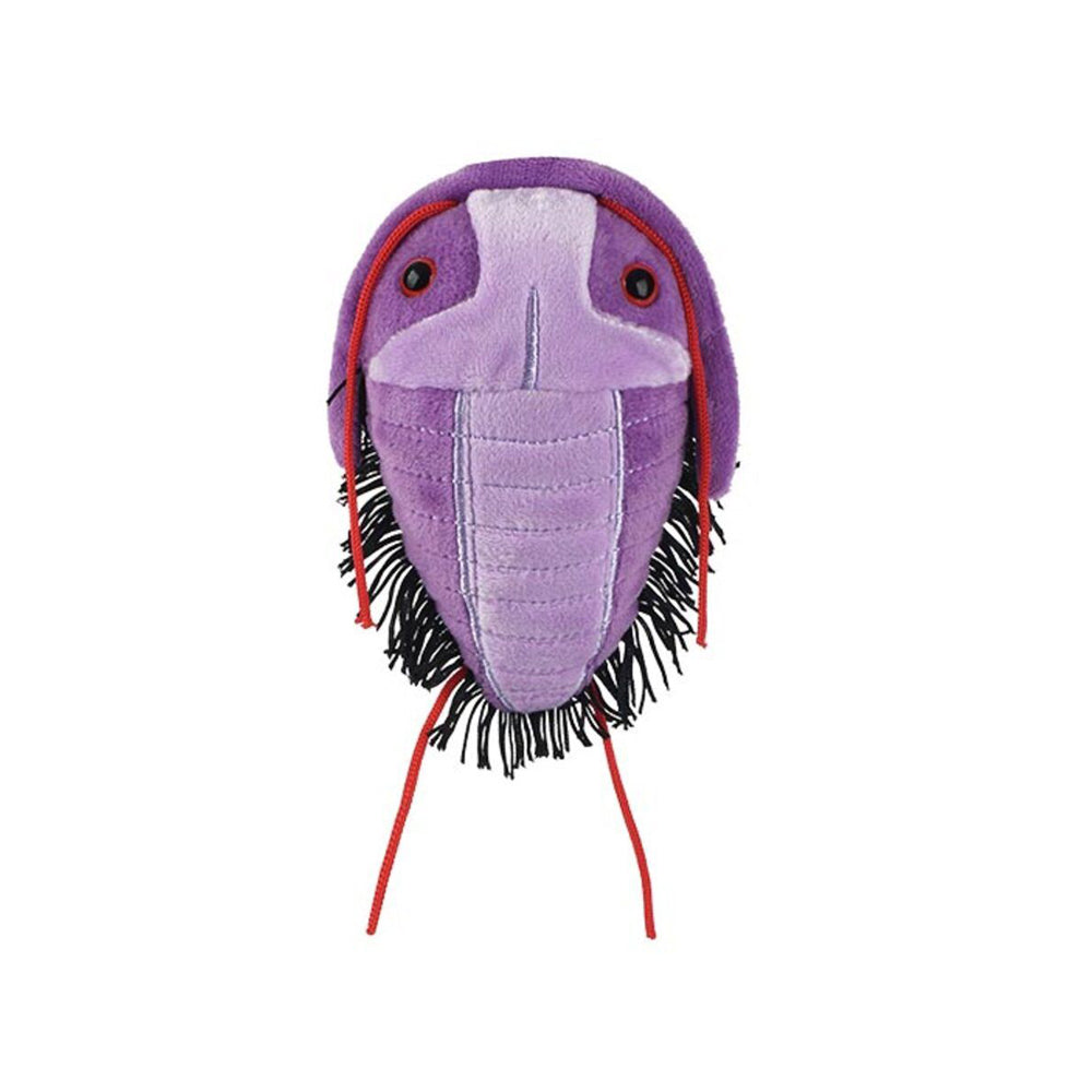A top down view of a plush soft toy of a purple trilobite against a plain white background.