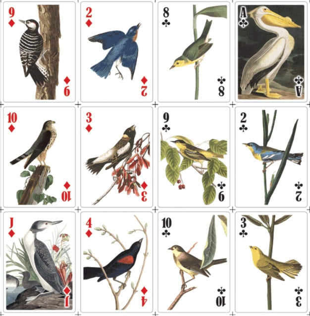 Twelve playing cards with artwork by John James Audubon depicting various american birds.