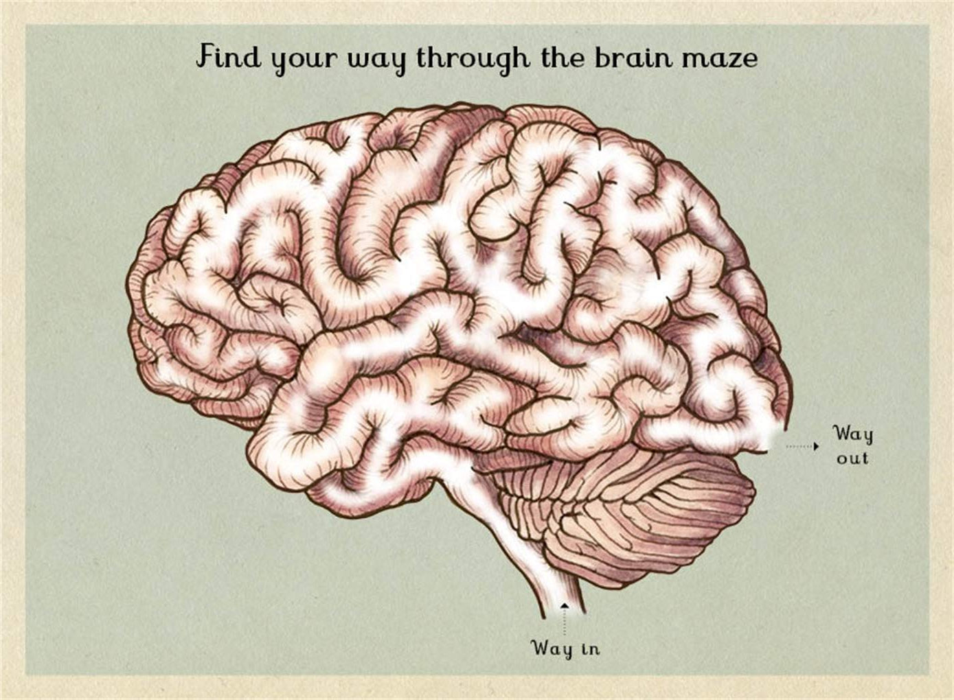 Book page with an illustration of a brain that is also a maze puzzle.