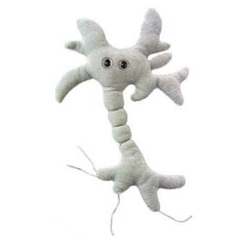 Giant Brain Cell
