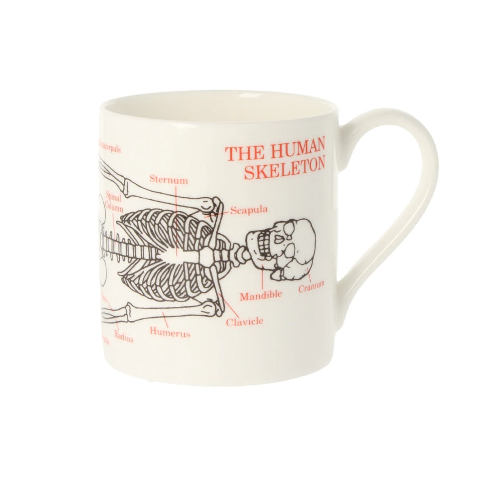 Skeleton Mug