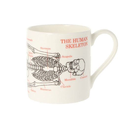 Skeleton Mug