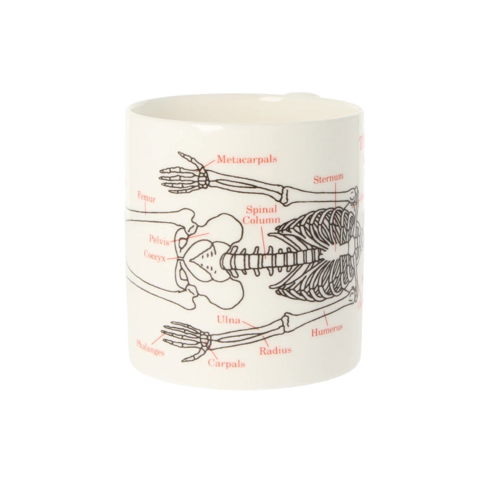 Skeleton Mug