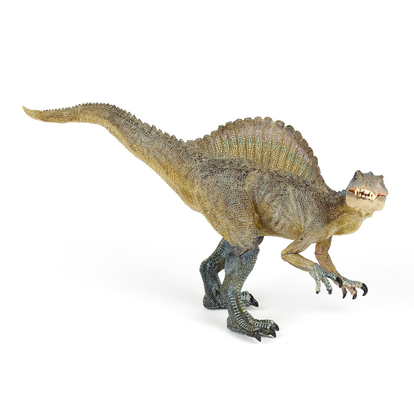 A grey and green spinosaurus with yellow eyes, white teeth, and a large spine running along it's back against a plain white background. The spinosaurus has it's head lowered and turned, with it's tail raised towards the sky.