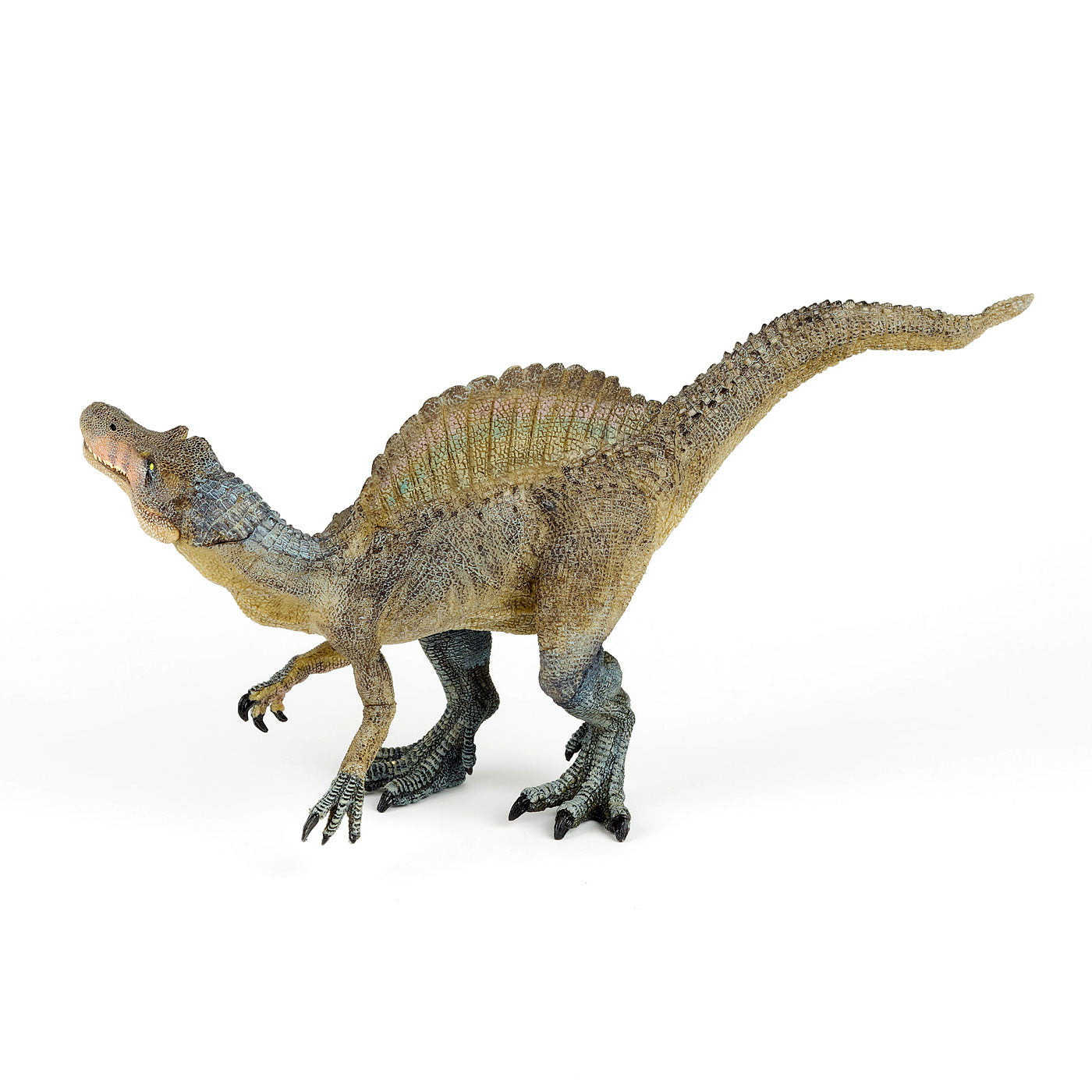 A grey and green spinosaurus with yellow eyes, white teeth, and a large spine running along it's back against a plain white background. The spinosaurus has it's head lowered and turned, with it's tail raised towards the sky.