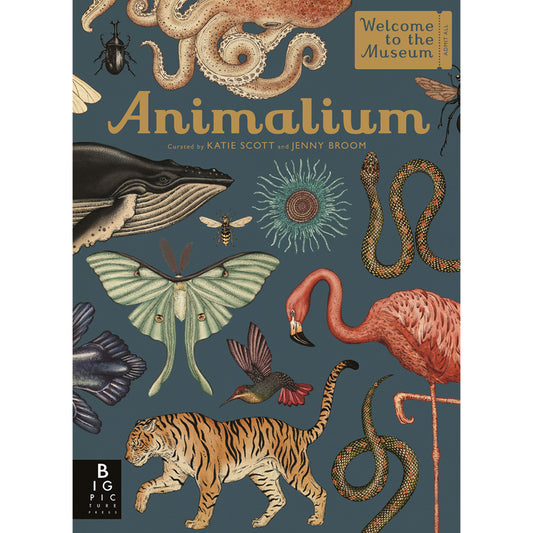 Book cover with a collage of animal illustrations against a plain deep blue background. The book's title presented in gold.