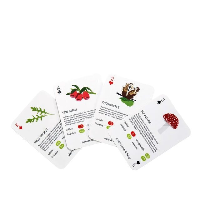 Four playing cards with illustrations of and facts about different plants and fungi against a plain white background.