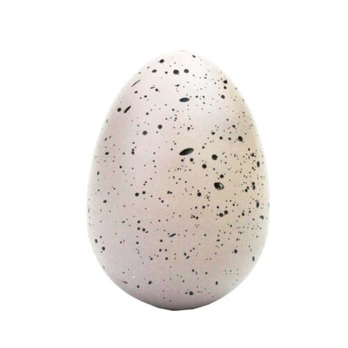 An egg with black speckles sitting against a plain white background.