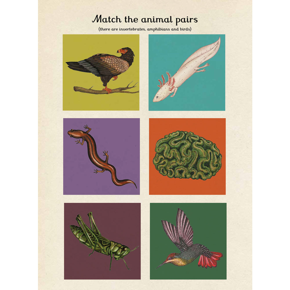 Book page with a match the animal pairs game with illustrations in a grid set against bright colourful backgrounds.