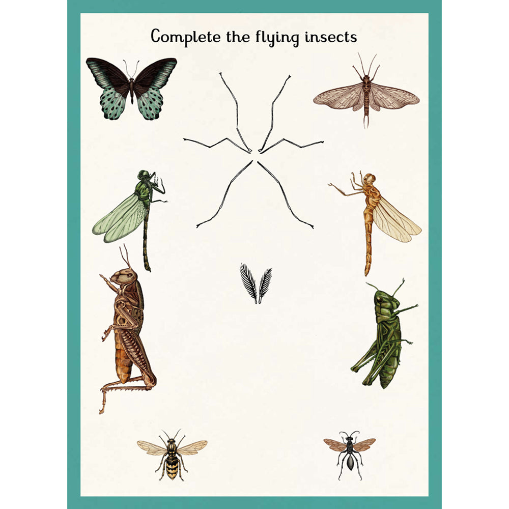 Book page with a complete the insect activity. Illustrations of insect parts are displayed against a plain white background.