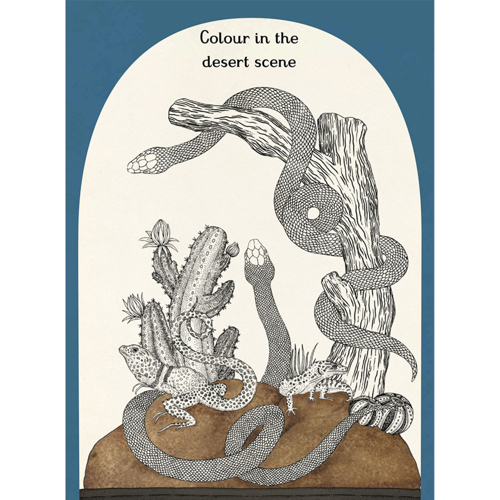 Book page with a colouring in scene of two snakes and some lizards in a desert setting. The colourless illustration is set against a plain white background.